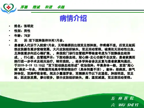 动脉血栓的护理查房16页PPT