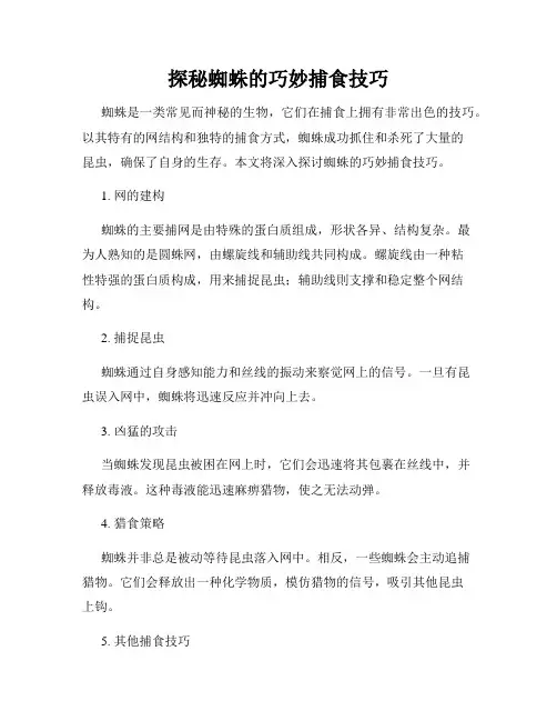 探秘蜘蛛的巧妙捕食技巧