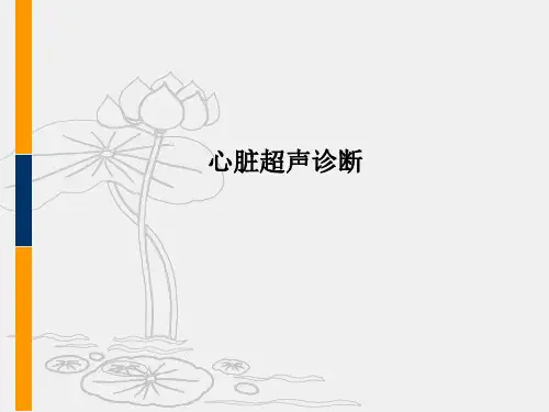 心脏超声诊断PPT课件