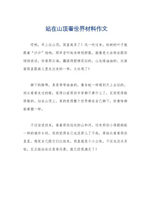 站在山顶看世界材料作文