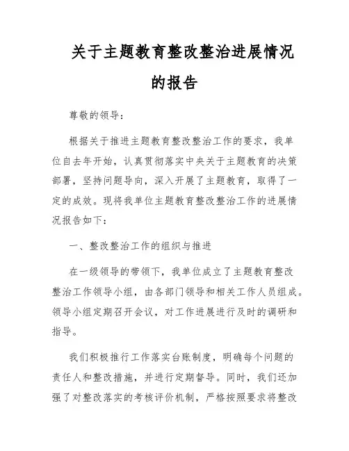 关于主题教育整改整治进展情况的报告