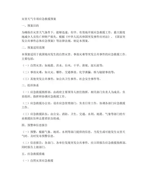 灾害天气专项应急救援预案