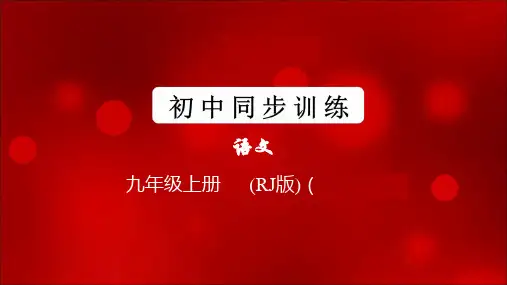 九年级语文上册名著“整本书阅读”—— 《艾青诗选》(初中语文同步训练)