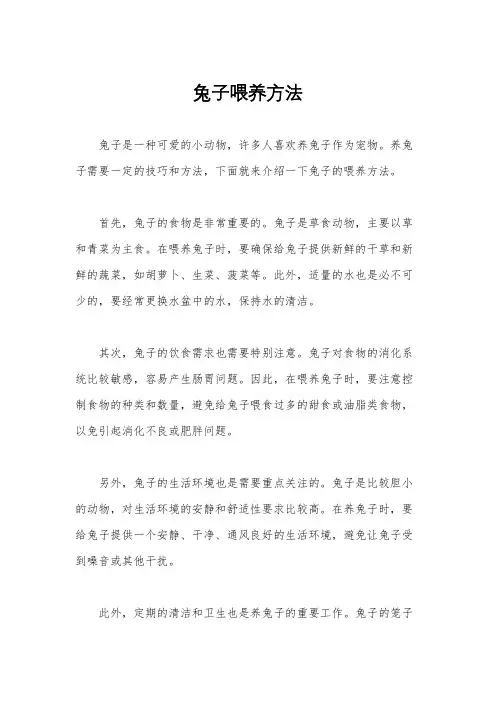 兔子喂养方法