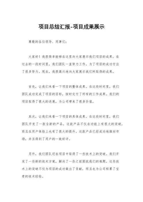 项目总结汇报-项目成果展示