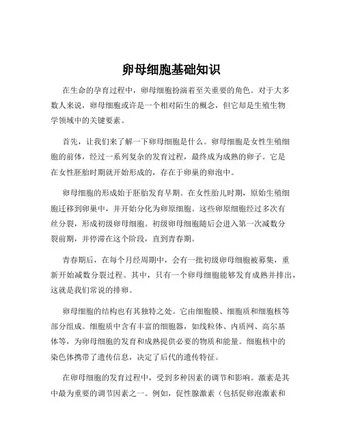 卵母细胞基础知识