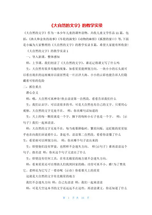 《大自然的文字》的教学实录