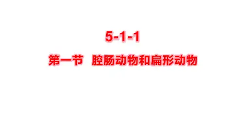 第一节腔肠动物和扁形动物课件 人教版生物八年级上册
