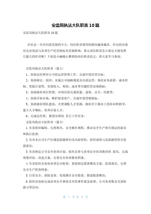安监局执法大队职责10篇
