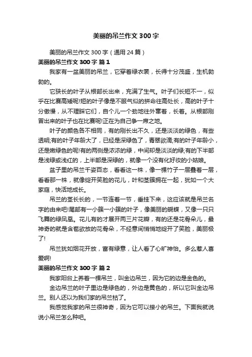 美丽的吊兰作文300字（通用24篇）