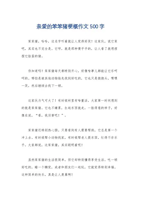 亲爱的笨笨猪梗概作文 500字