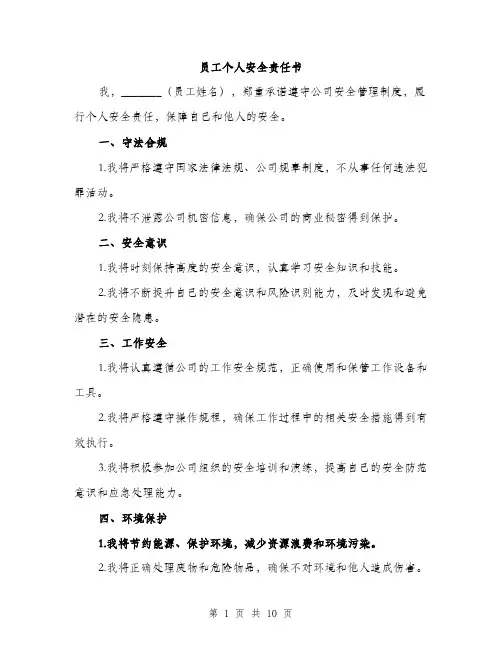 员工个人安全责任书（5篇）