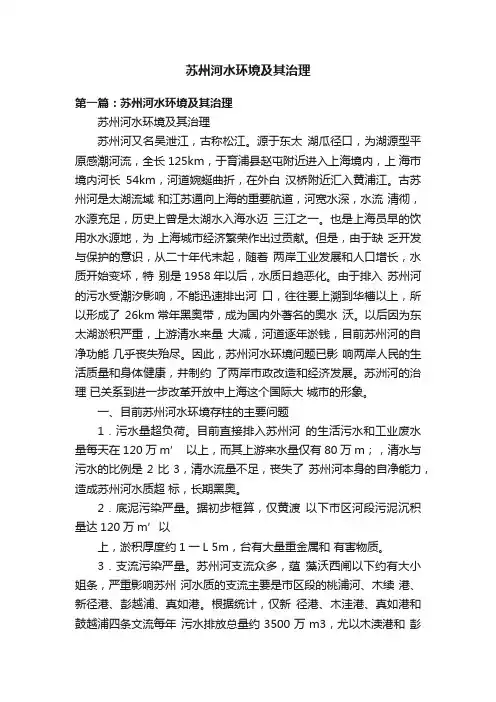 苏州河水环境及其治理