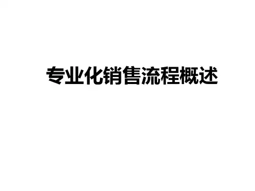 专业化销售流程概述