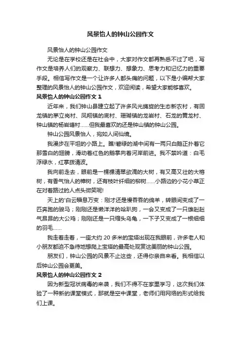 风景怡人的钟山公园作文
