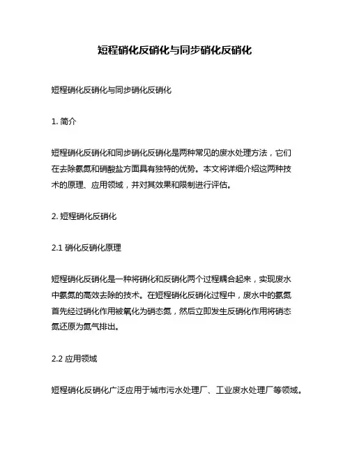 短程硝化反硝化与同步硝化反硝化