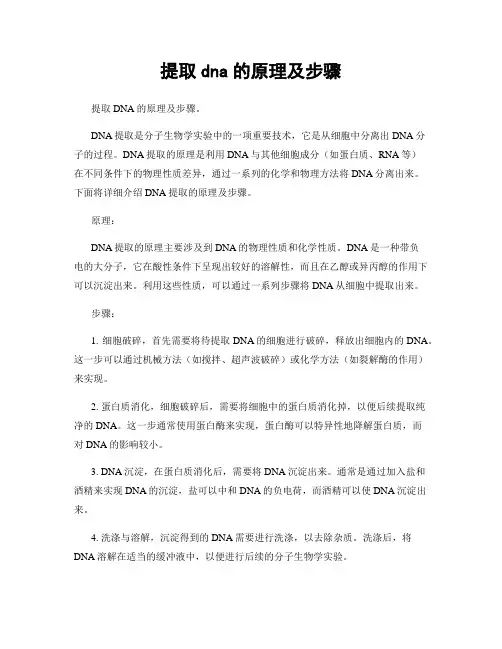 提取dna的原理及步骤
