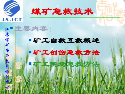 《煤矿急救技术》PPT课件