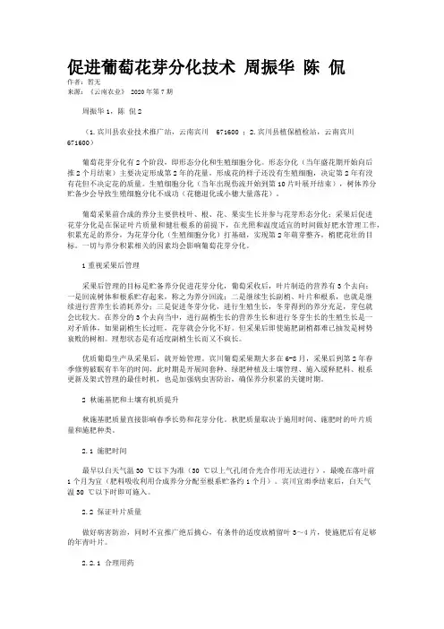 促进葡萄花芽分化技术 周振华 陈 侃
