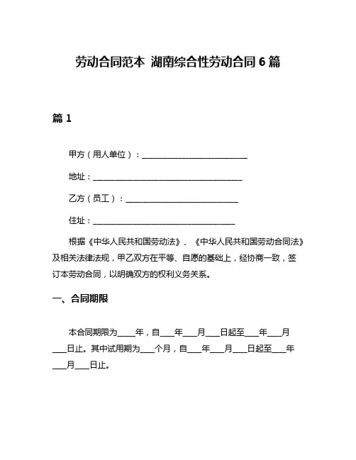 劳动合同范本 湖南综合性劳动合同6篇