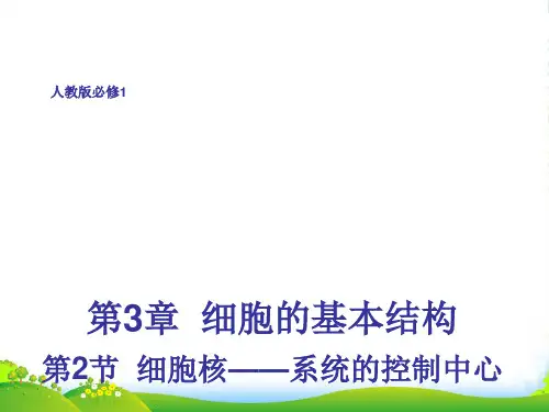 高一生物必修一教学课件：3.3 细胞核——系统的控制中心 (共28张PPT)