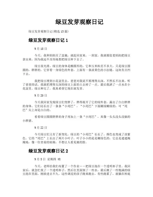 绿豆发芽观察日记