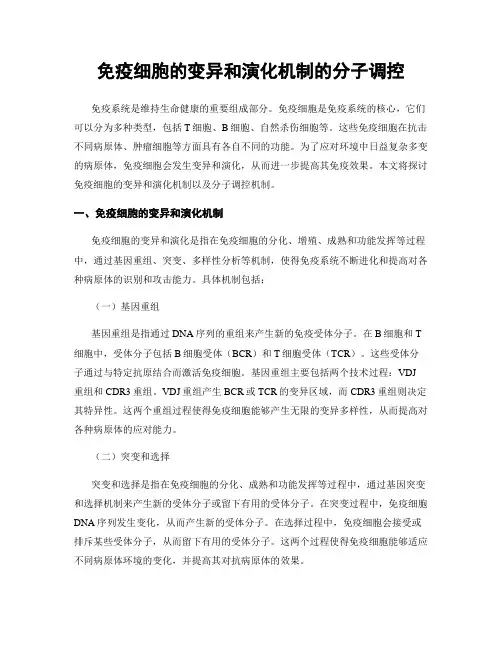 免疫细胞的变异和演化机制的分子调控