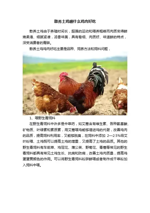 散养土鸡喂什么鸡肉好吃