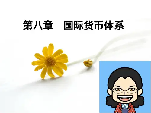 JJ08  国际货币体系