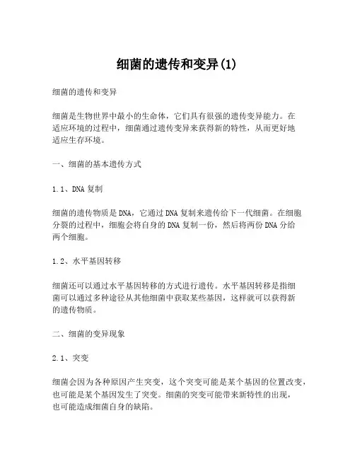 细菌的遗传和变异(1)