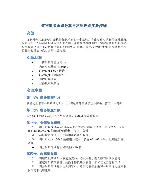 植物细胞质壁分离与复原详细实验步骤