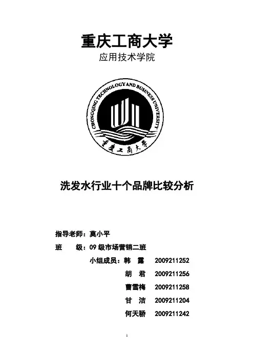同行业十个品牌定位比较(韩露小组)