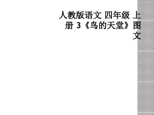 人教版语文 四年级 上册 3鸟的天堂图文