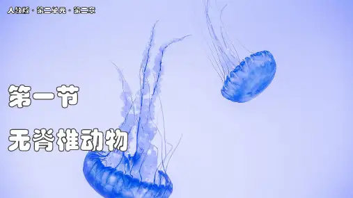 2.2.1  无脊椎动物  课件-人教版生物七年级上册