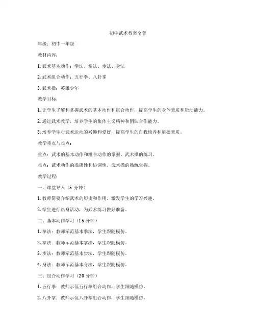 初中武术教案全套
