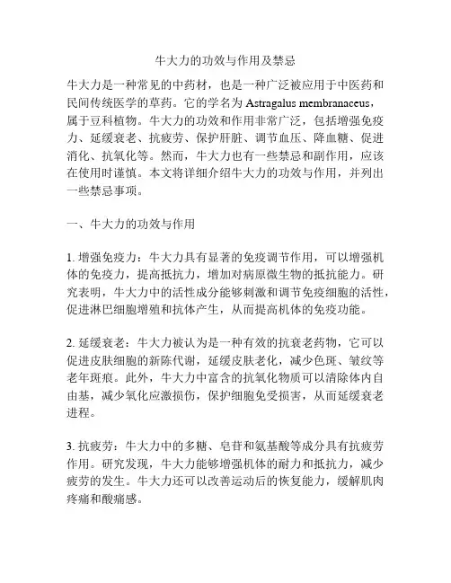 牛大力的功效与作用及禁忌