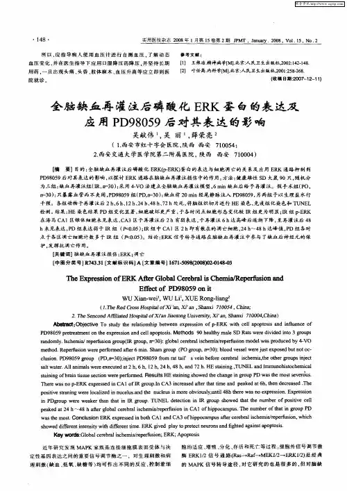 全脑缺血再灌注后磷酸化ERK蛋白的表达及应用PD98059后对其表达的影响