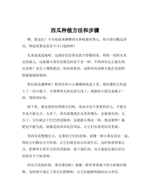 西瓜种植方法和步骤