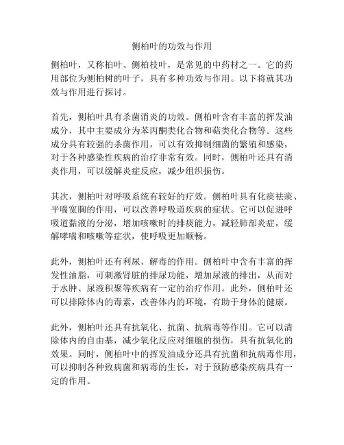 侧柏叶的功效与作用