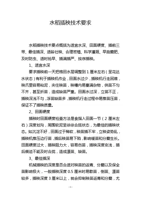 水稻插秧技术要求