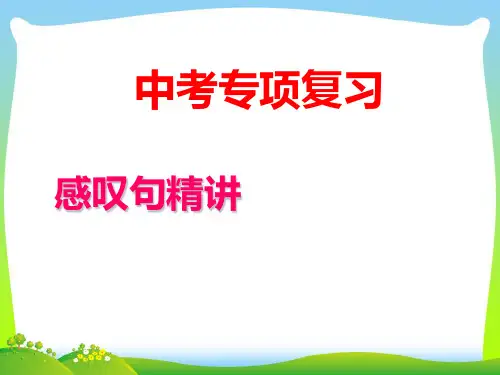 人教九年级全一册感叹句精讲(共25张PPT)