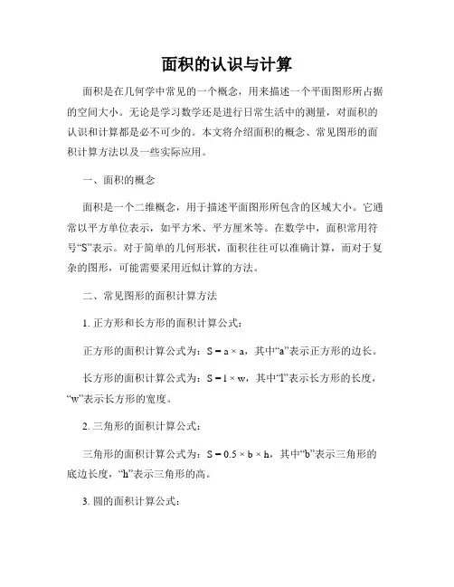 面积的认识与计算