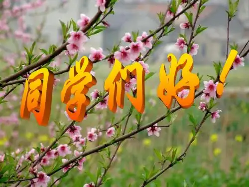 1 第一章 统计数据的收集和整理