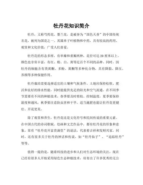 牡丹花知识简介