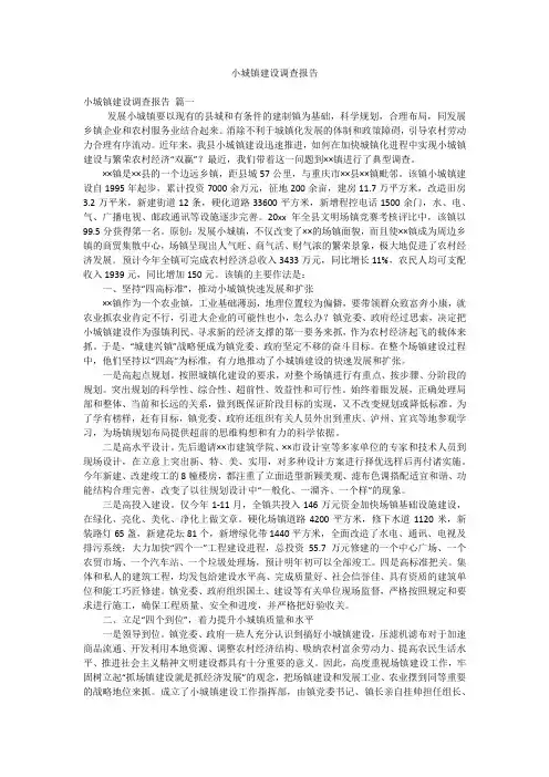 小城镇建设调查报告