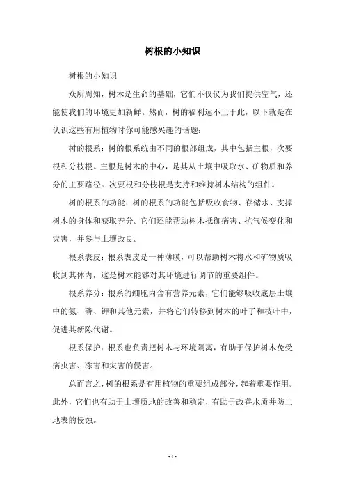 树根的小知识