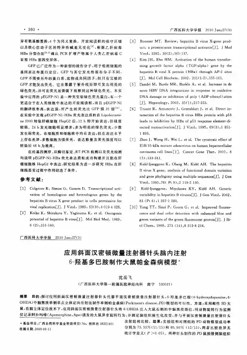 应用斜面汉密顿微量注射器针头脑内注射6-羟基多巴胺制作大鼠帕金森病模型
