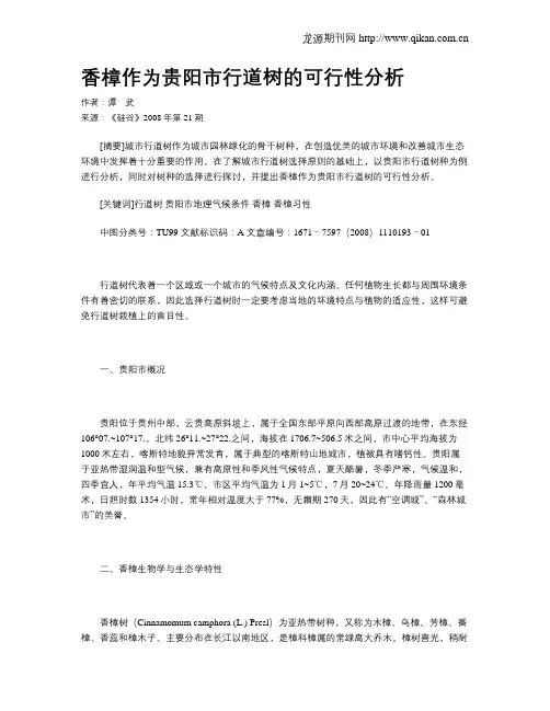 香樟作为贵阳市行道树的可行性分析