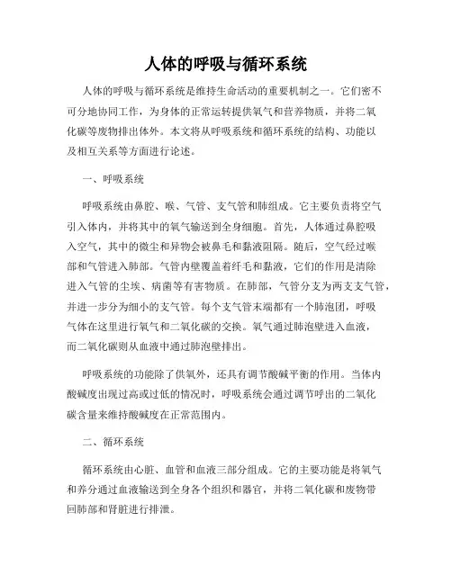 人体的呼吸与循环系统
