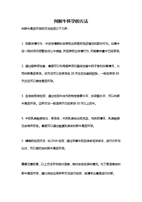 判断牛怀孕的方法